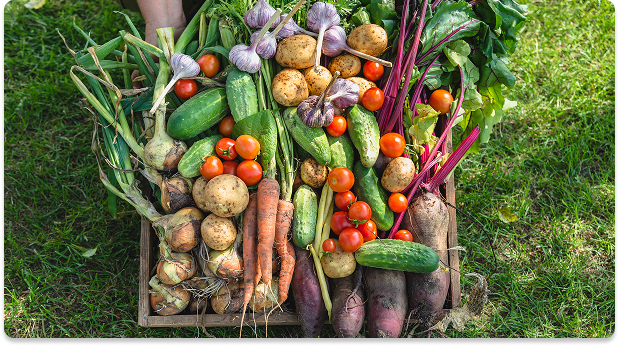 software for your food hub